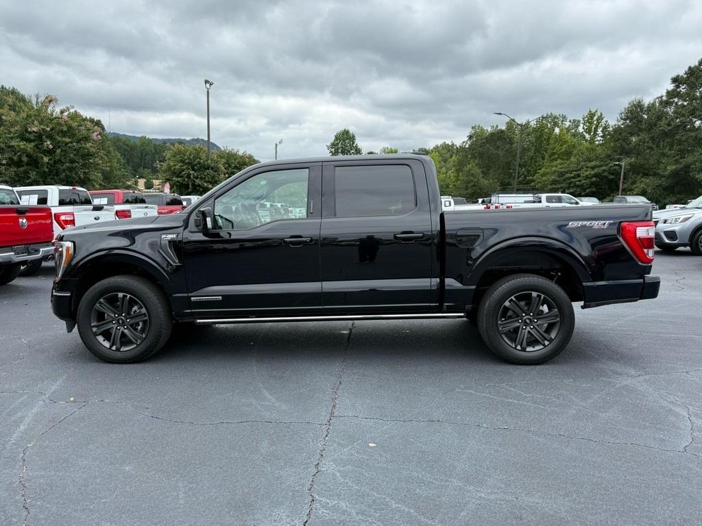 used 2023 Ford F-150 car, priced at $52,093