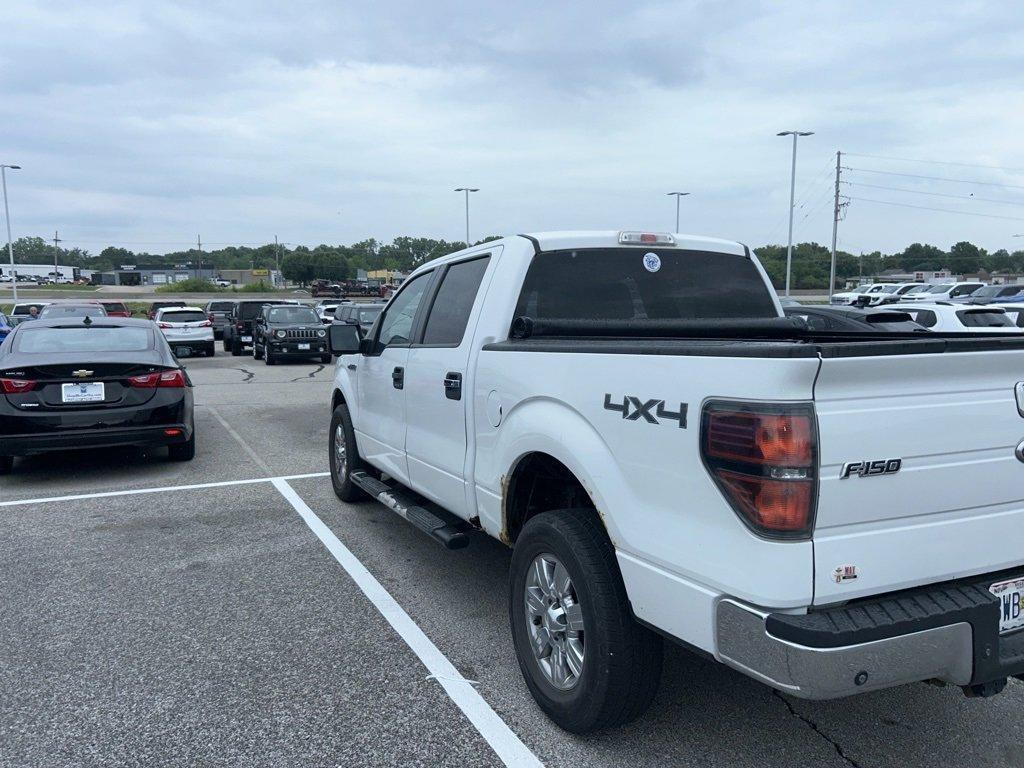 used 2010 Ford F-150 car