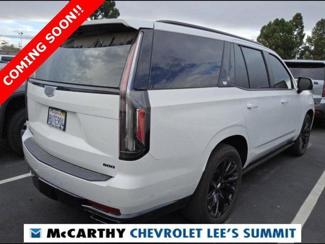 used 2021 Cadillac Escalade car, priced at $64,500