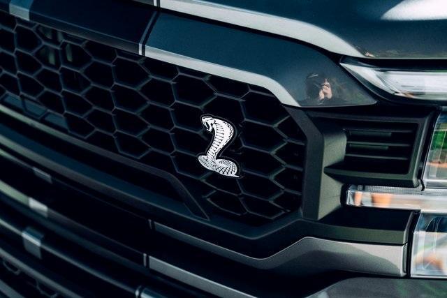 new 2024 Ford F-150 car, priced at $135,745