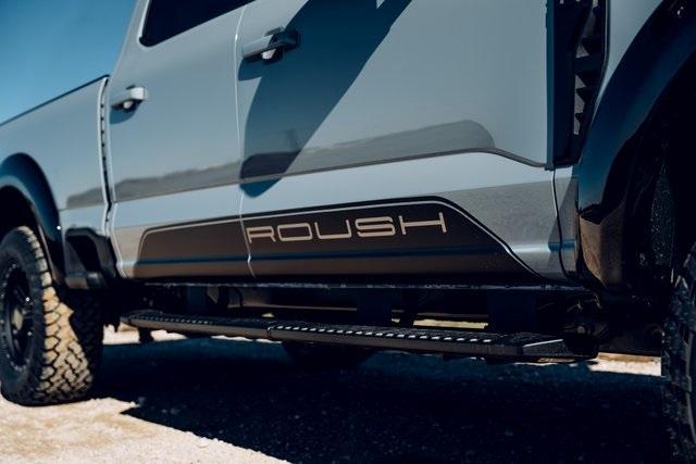new 2025 Ford F-250 car, priced at $116,629