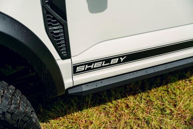new 2025 Ford F-250 car, priced at $162,335