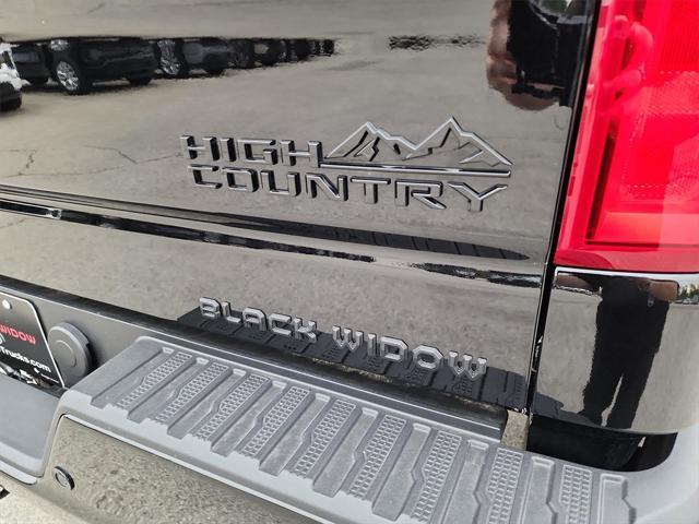 new 2025 Chevrolet Silverado 1500 car, priced at $91,314