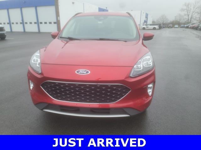 used 2020 Ford Escape car, priced at $20,000