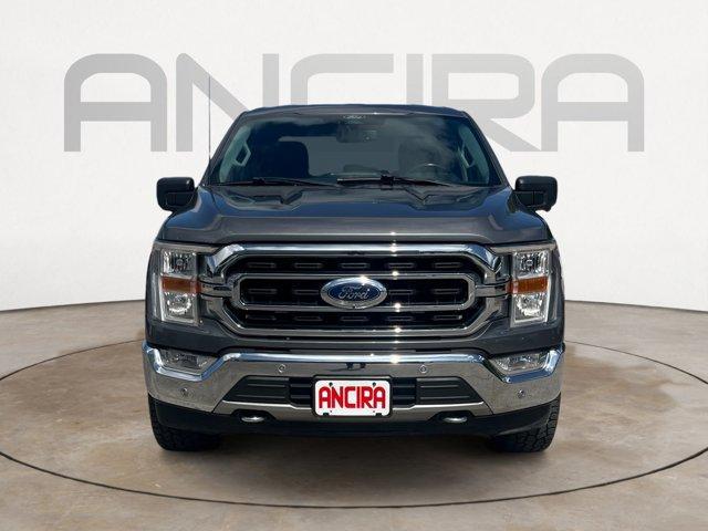 used 2021 Ford F-150 car, priced at $30,891
