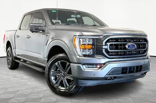 used 2023 Ford F-150 car, priced at $49,441