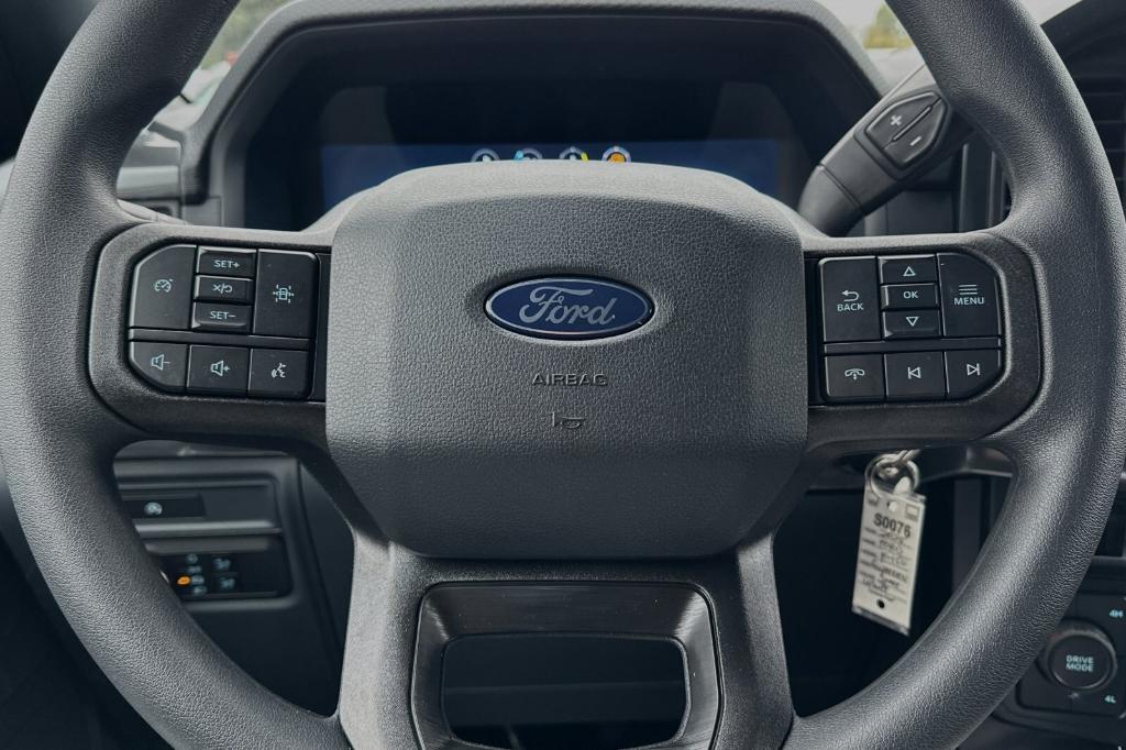 new 2025 Ford F-150 car