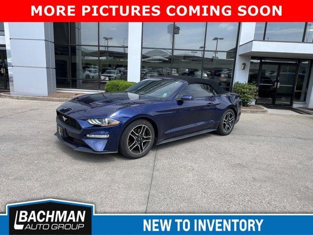 used 2019 Ford Mustang car