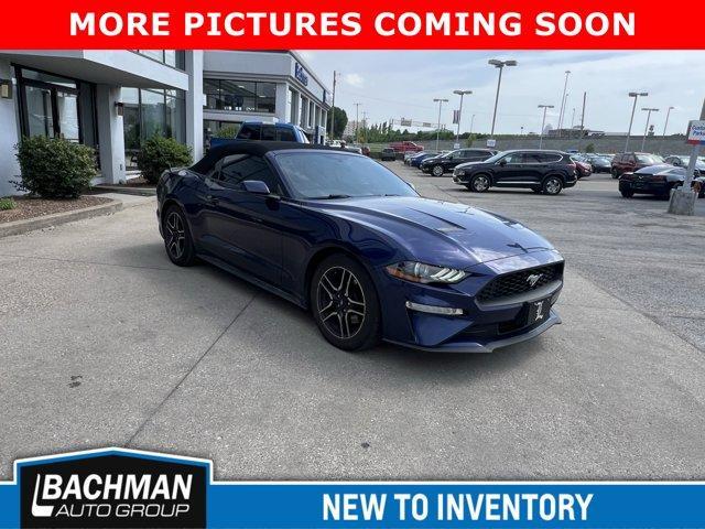 used 2019 Ford Mustang car