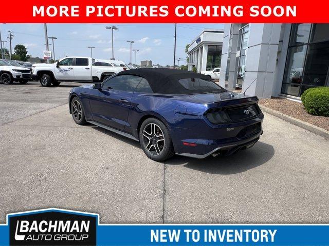 used 2019 Ford Mustang car
