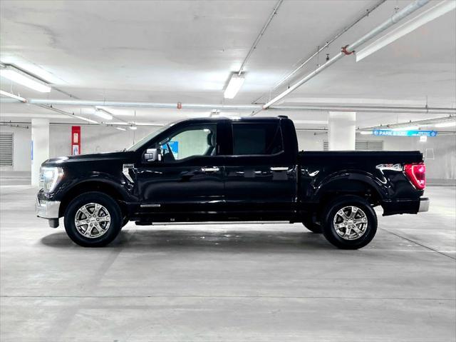 used 2023 Ford F-150 car, priced at $39,000