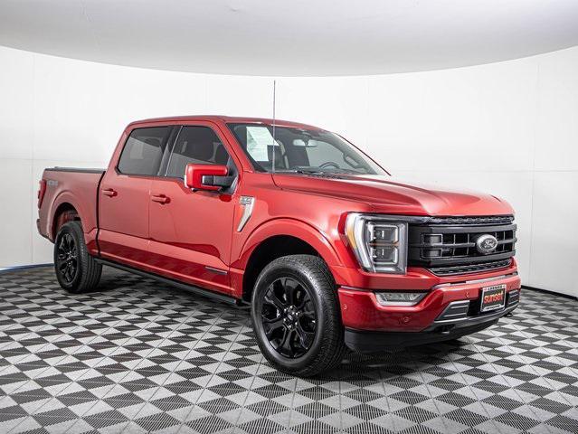 used 2023 Ford F-150 car
