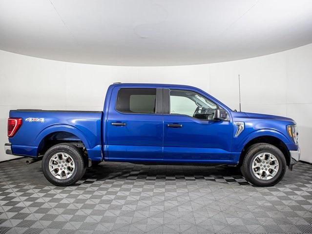 used 2023 Ford F-150 car