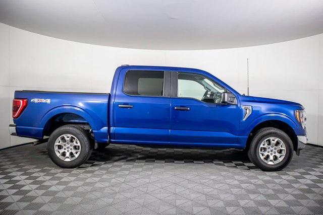 used 2023 Ford F-150 car