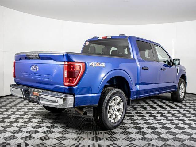 used 2023 Ford F-150 car