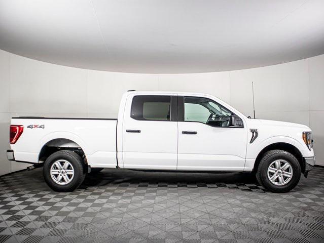 used 2023 Ford F-150 car