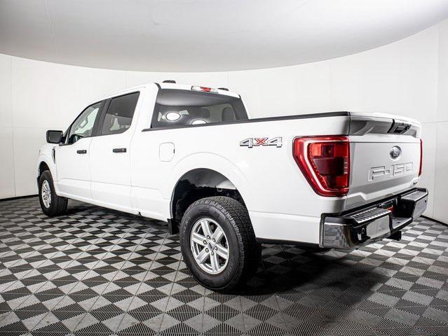 used 2023 Ford F-150 car