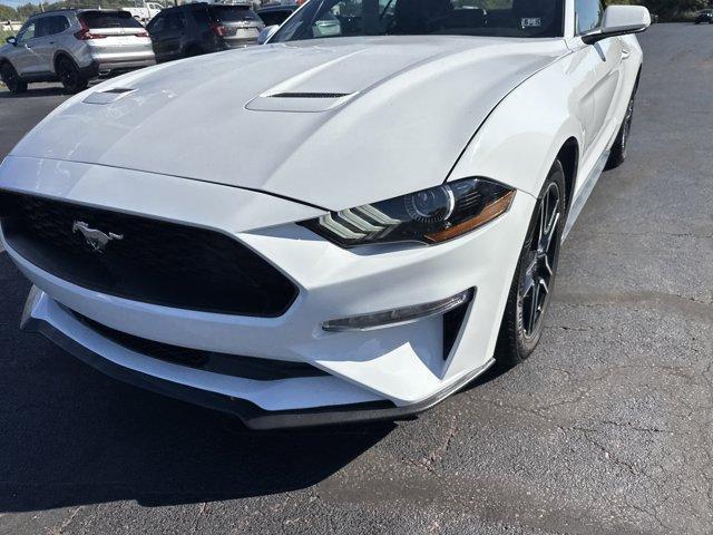 used 2023 Ford Mustang car, priced at $25,803