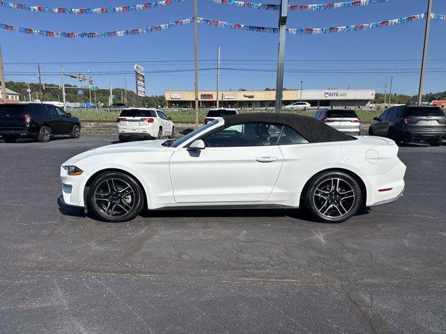 used 2023 Ford Mustang car, priced at $25,803