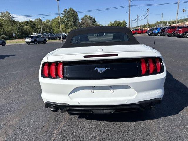 used 2023 Ford Mustang car, priced at $25,803