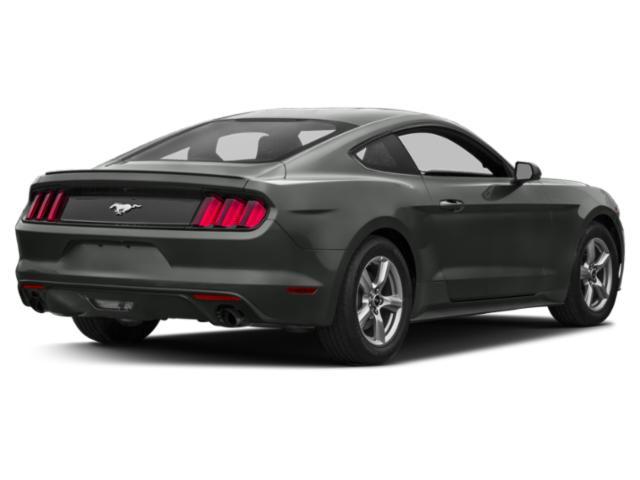 used 2015 Ford Mustang car