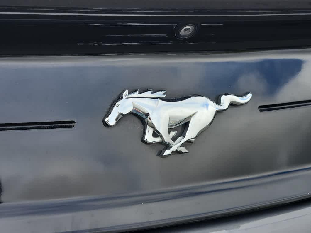 used 2021 Ford Mustang car, priced at $25,680