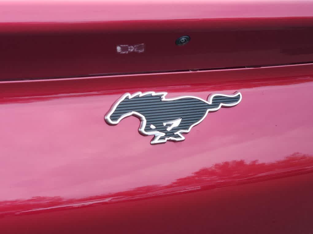 new 2025 Ford Mustang Mach-E car, priced at $54,750
