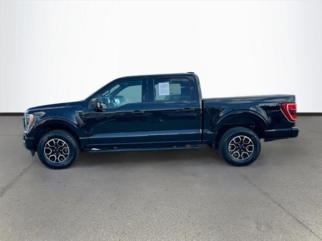 used 2023 Ford F-150 car, priced at $42,991
