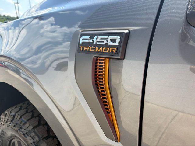 new 2025 Ford F-150 car, priced at $64,432