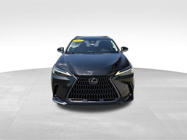 used 2022 Lexus NX 250 car, priced at $33,899