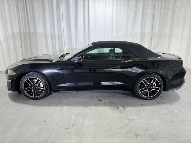 used 2023 Ford Mustang car, priced at $25,386