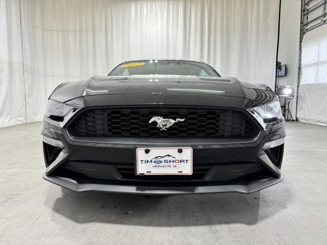 used 2023 Ford Mustang car, priced at $25,386