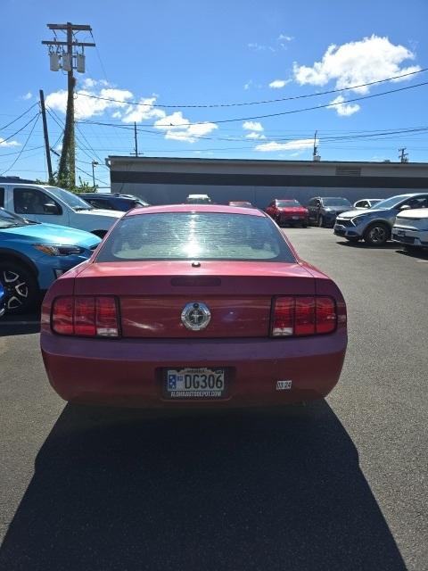 used 2009 Ford Mustang car, priced at $9,995