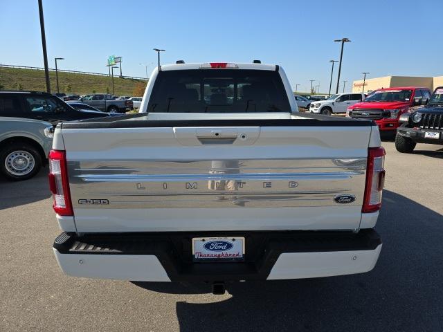 used 2023 Ford F-150 car