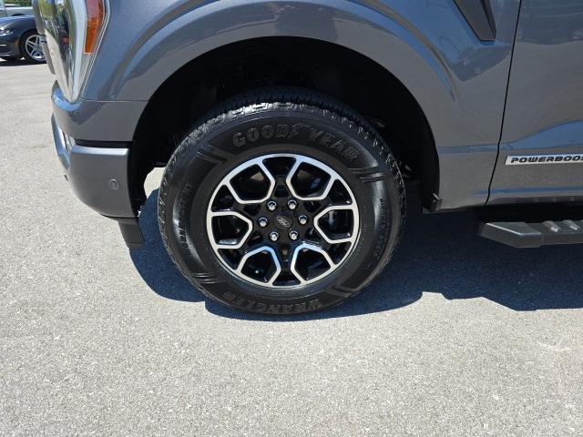 used 2021 Ford F-150 car