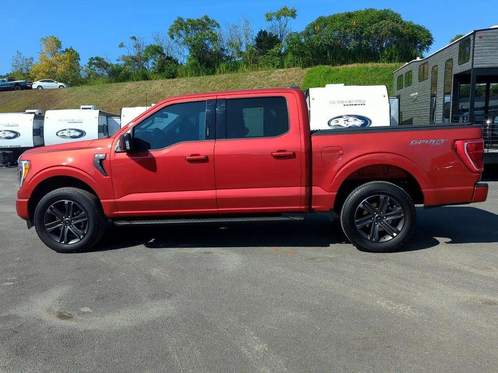 used 2023 Ford F-150 car, priced at $49,995