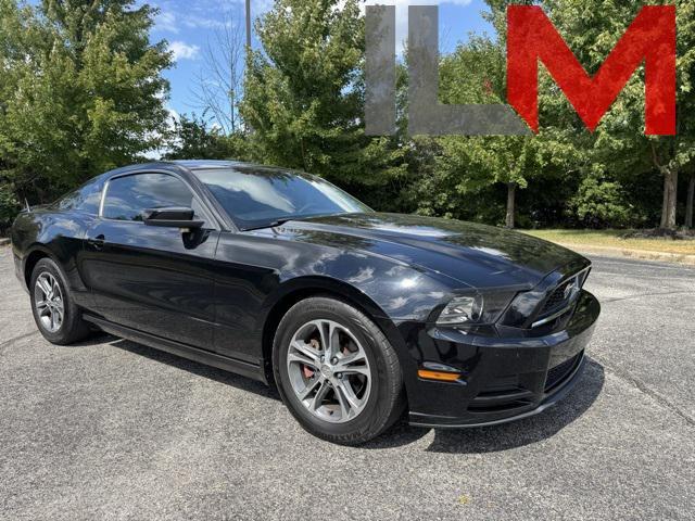 used 2013 Ford Mustang car, priced at $10,876