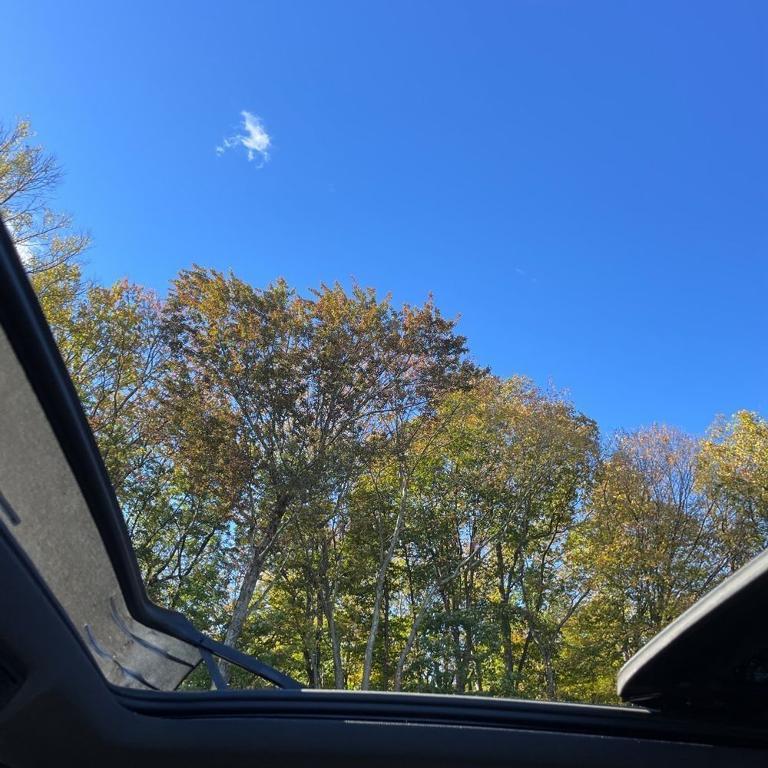 used 2021 Volkswagen Tiguan car, priced at $20,250