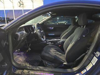 used 2019 Ford Mustang car, priced at $29,495