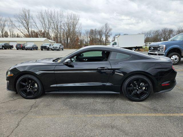 used 2019 Ford Mustang car, priced at $22,000