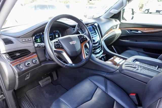 used 2017 Cadillac Escalade car, priced at $24,988