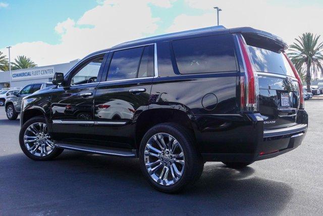 used 2017 Cadillac Escalade car, priced at $24,988
