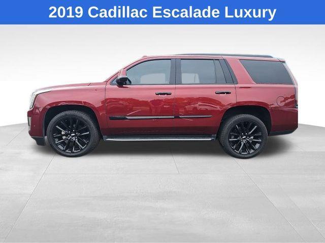 used 2019 Cadillac Escalade car, priced at $32,136