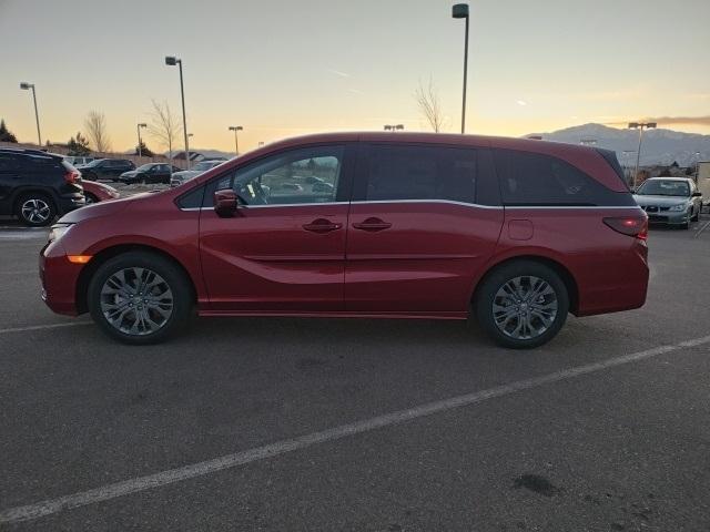 new 2025 Honda Odyssey car, priced at $48,460