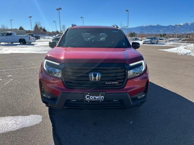 new 2024 Honda Passport car, priced at $49,820