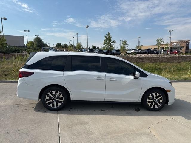 new 2025 Honda Odyssey car, priced at $44,125