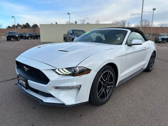 used 2022 Ford Mustang car, priced at $21,000