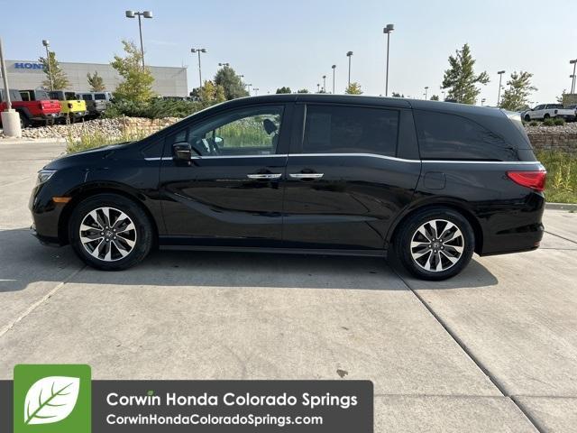 used 2024 Honda Odyssey car, priced at $35,000