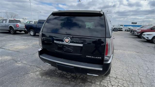 used 2014 Cadillac Escalade car, priced at $19,990