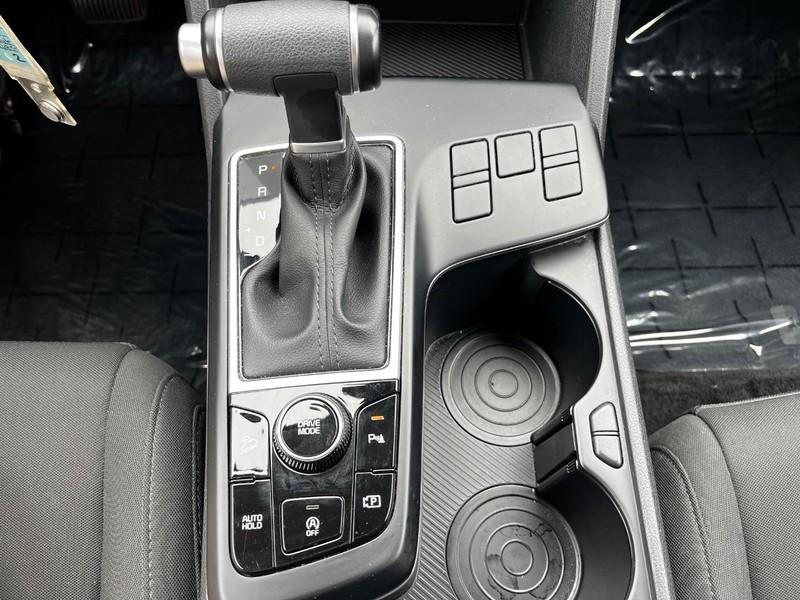 used 2024 Kia Sportage car